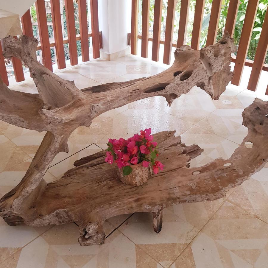 Hotel Restaurante Selva Negra Turbaco Dış mekan fotoğraf
